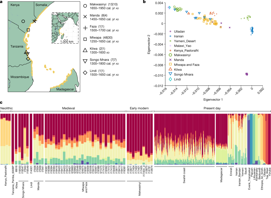 How to Use MATLAB to Retrieve All Illustrations from Nature (Including Images from 2023-2025)