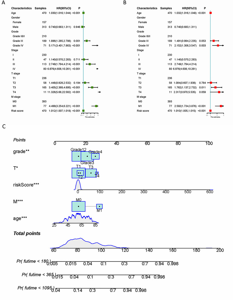 A Novel Stemness-Related lncRNA Signature Predicts Prognosis, Immune Infiltration, and Drug Sensitivity in Clear Cell Renal Cell Carcinoma