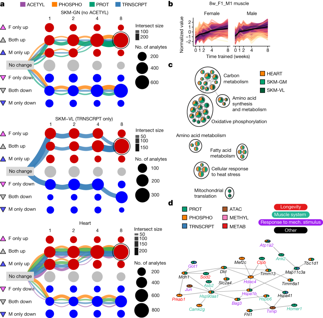 How to Use MATLAB to Retrieve All Illustrations from Nature (Including Images from 2023-2025)