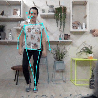 Implementing Pose Detection Using Raspberry Pi 4 and Coral USB Accelerator
