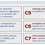 Overview of the MSigDB Database