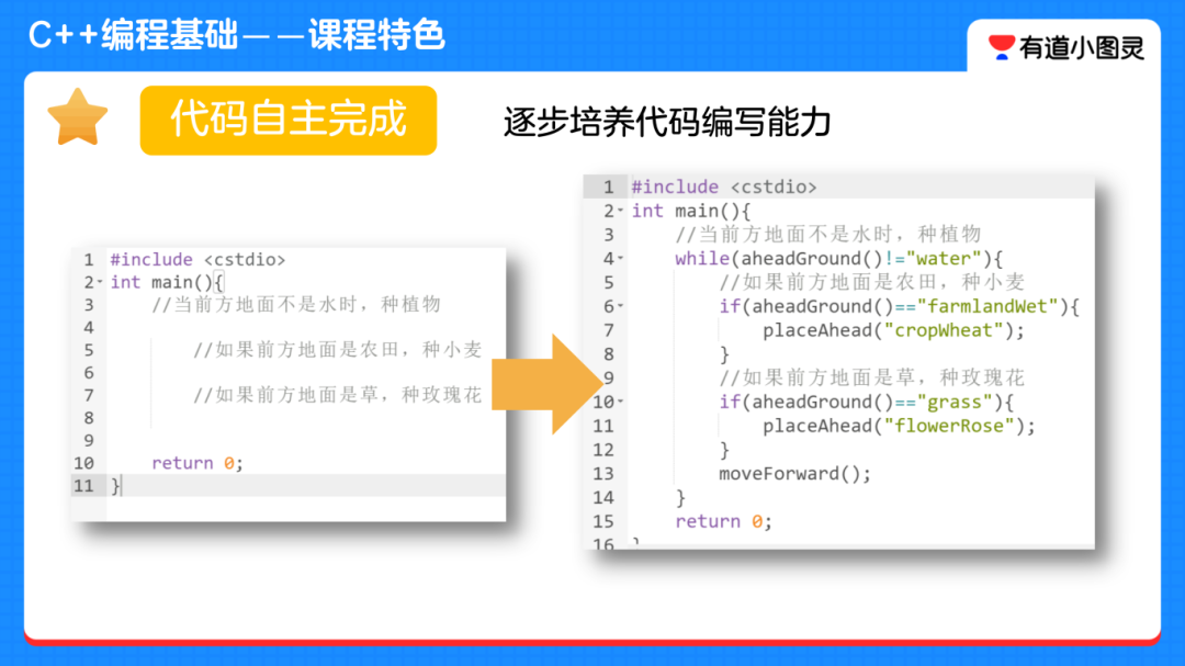 Learning Plan: Which Programming Language is More Suitable for Elementary School Students - Scratch, Python, or C++?