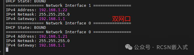 Unlocking the Potential of LwIP: Easily Implementing Multi-NIC on MCU