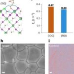 PhD Student from Wuhan University Publishes in Nature Nanotechnology!