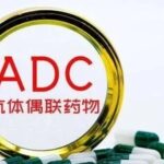 The Arrival of Quadruple Antibody-Drug Conjugates (ADCs)