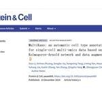 MultiKano: An Automatic Cell Type Annotation Method for Single-Cell Multi-Omics Data