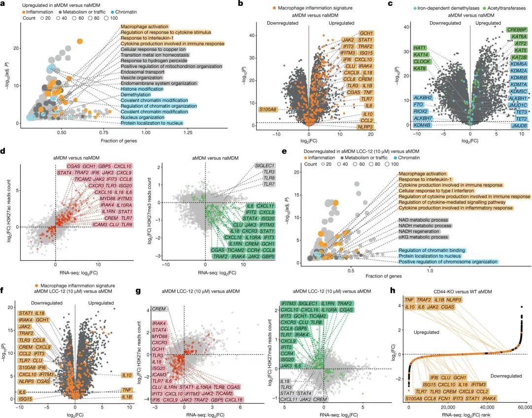 How to Use MATLAB to Retrieve All Illustrations from Nature (Including Images from 2023-2025)