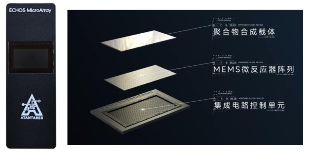 Understanding the 'Biological Chip' in the Digital World (Part 3): What Are We Building? | Atantares Technology's DNA Storage Products and Roadmap