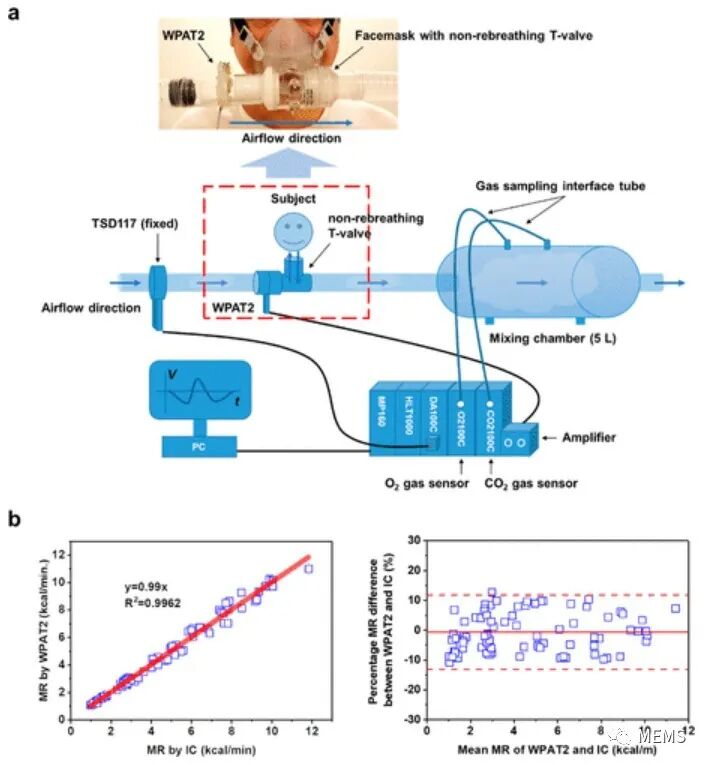 Wearable Piezoelectric Airflow Sensor for Human Respiratory and Metabolic Monitoring