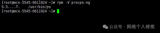 How to Identify Hidden Processes in Linux? An Analysis of Common Hacker Techniques and Detection Methods
