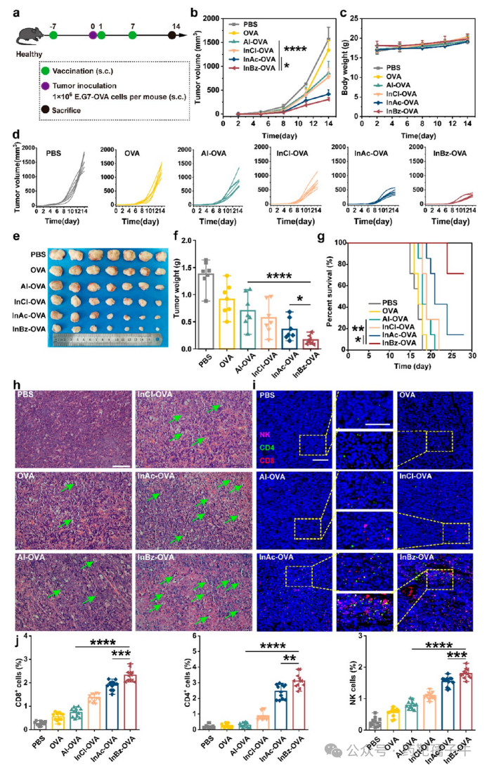 ACS Nano (IF=16.0): Computer-Guided Discovery of Polysaccharide Derivatives as Adjuvants for Cancer Immunotherapy Nanoparticle Vaccines