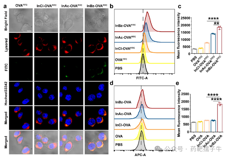 ACS Nano (IF=16.0): Computer-Guided Discovery of Polysaccharide Derivatives as Adjuvants for Cancer Immunotherapy Nanoparticle Vaccines