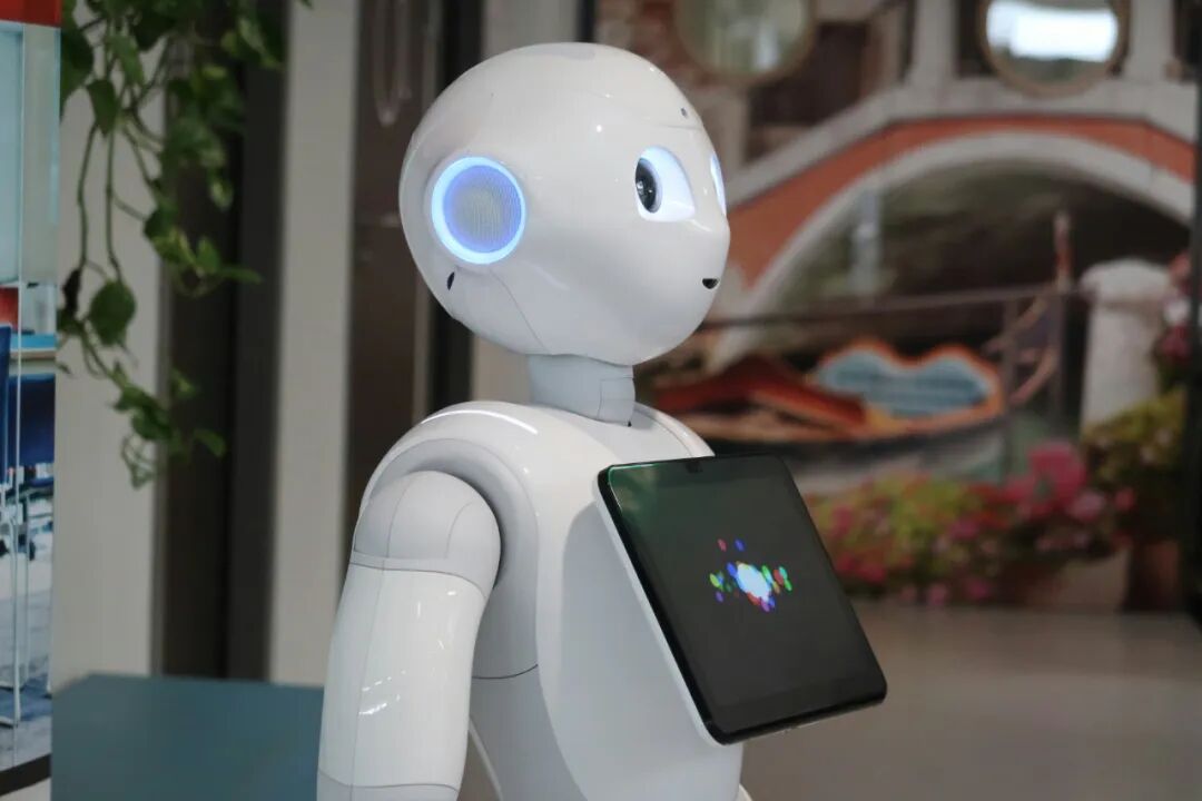 The Delivery Robots in Hotels: A Loss of 800 Million in Three Years