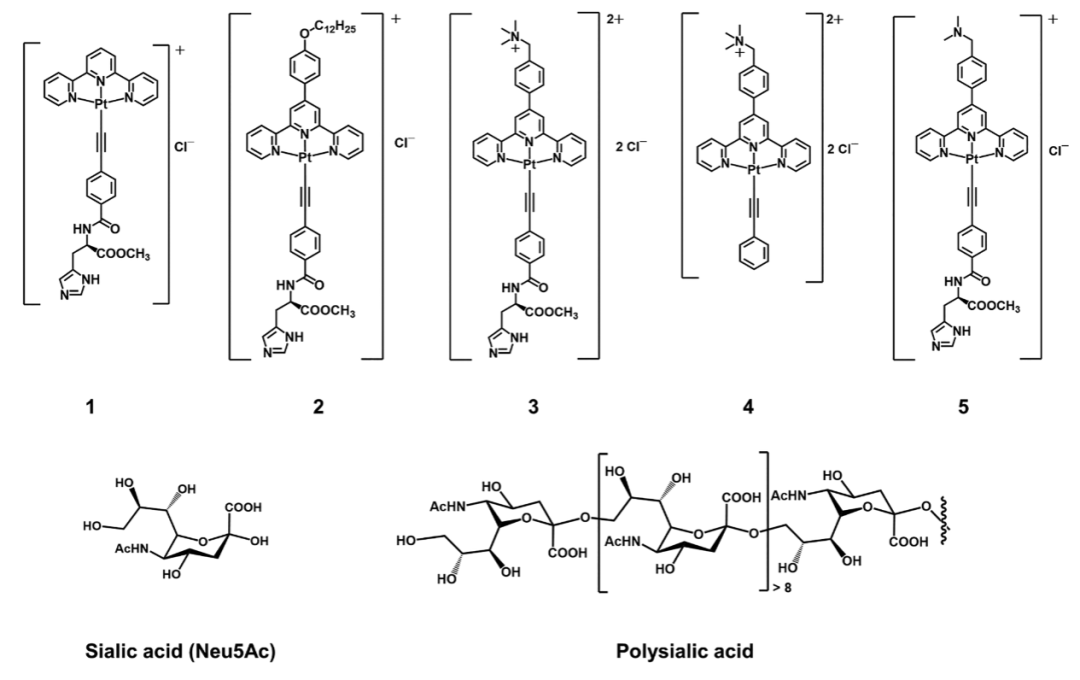 Self-Assembly of Alkynyl Platinum(II) Complexes and Their Application in Sialic Acid Detection and Differentiation of Cancer Cells from Normal Cells