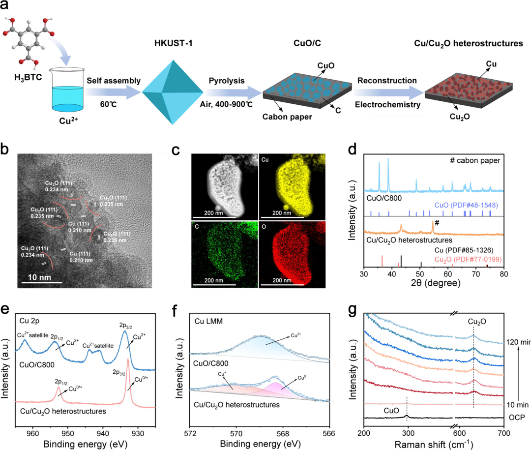JACS: Dual Active Cu Sites for Cascade Electrocatalytic C-N Coupling to Synthesize Amino Acids