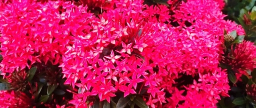 Market Update: PCB and Innovative Pharmaceuticals Surge