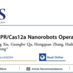RNA-Activated CRISPR/Cas12a Nanorobots Operating in Live Cells