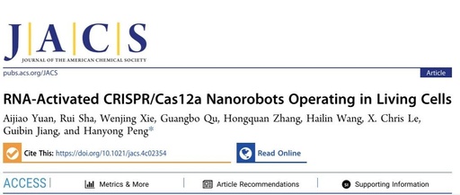 RNA-Activated CRISPR/Cas12a Nanorobots Operating in Live Cells