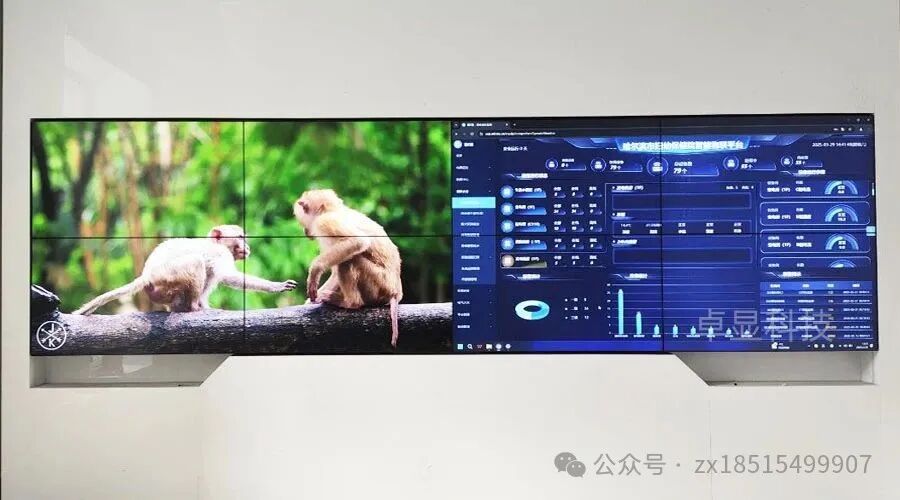 Four Key Differences Between LED and LCD Screens Explained