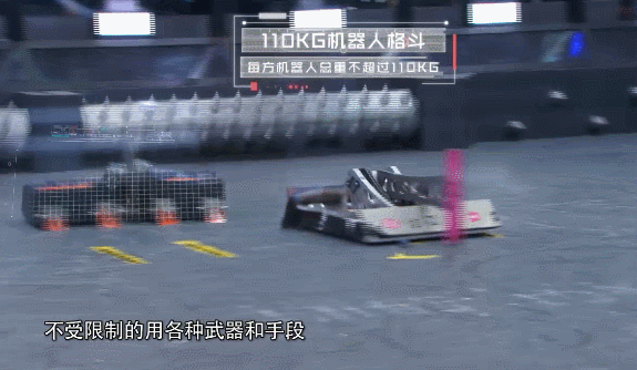 Are Robots About to Dominate Humanity? No, They Are Already Fighting Each Other!