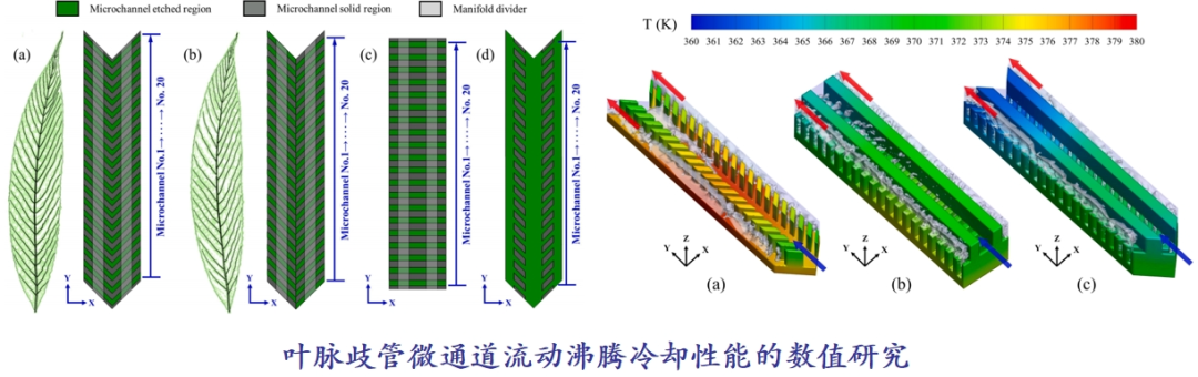 Southeast University | Interleaved Leaf Vein Shaped Embedded Microchannel Heat Exchanger