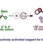 Goodbye Morpholine Radical