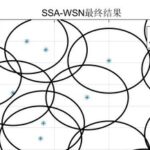 Optimization of Wireless Sensor Network Coverage Based on Sparrow Algorithm