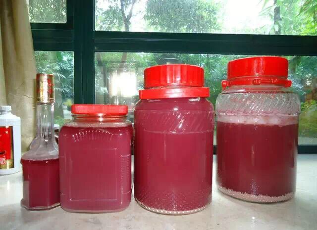 Homemade Wine Can Be Deadly: Beware of Toxicity in Homemade Foods