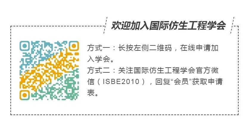 Design and Application of a Miniature Underwater Bionic Robot Inspired by Sea Butterflies for Multimodal Motion