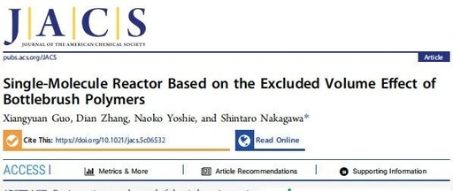 Single-Molecule Reactor Based on the Excluded Volume Effect of Bottlebrush Polymers