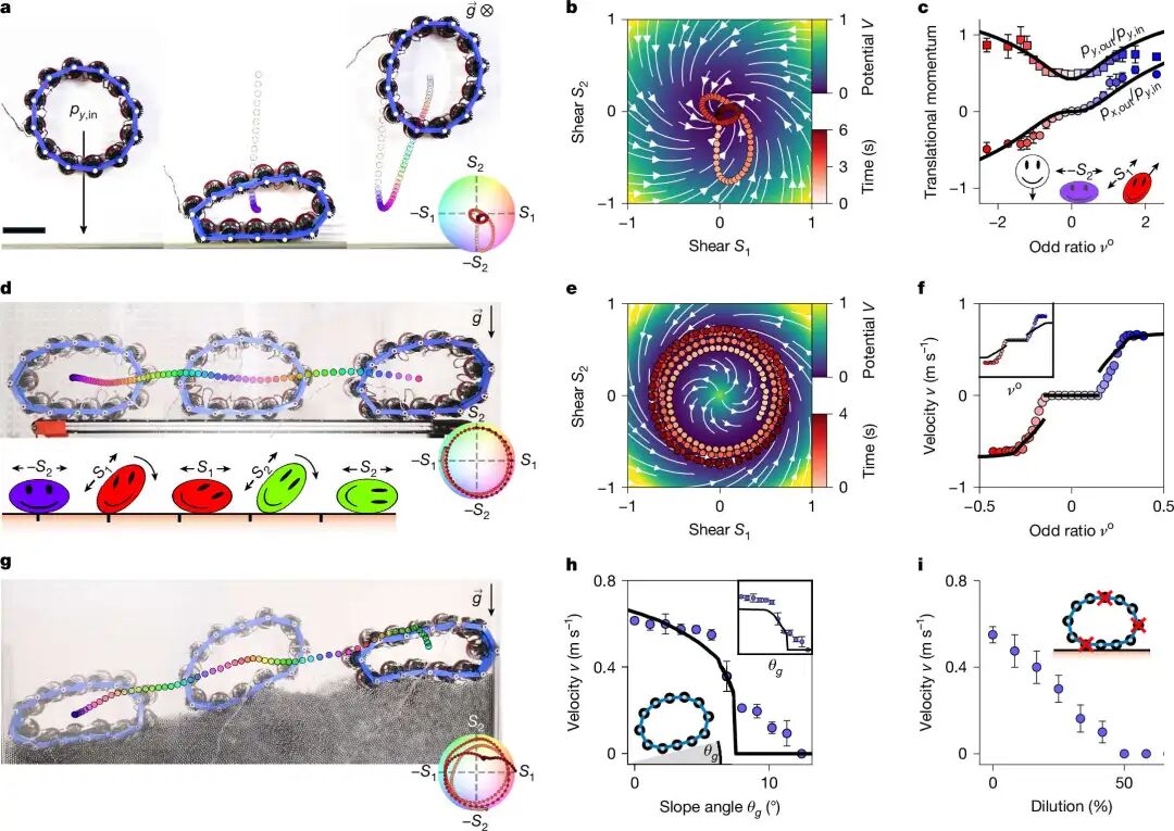 How to Use MATLAB to Retrieve All Illustrations from Nature (Including Images from 2023-2025)
