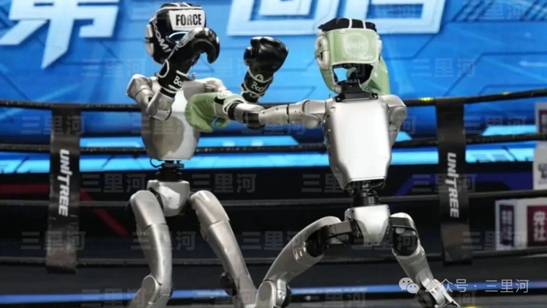 Chinese Robots: 'Southern Fist, Northern Kicks'