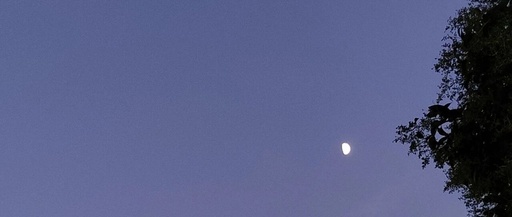 DIDA-[C]CAGE WE - Equality Once Again.