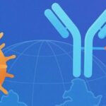 MediLink Therapeutics: The Global Breakthrough Path of an ADC "Platform Player"