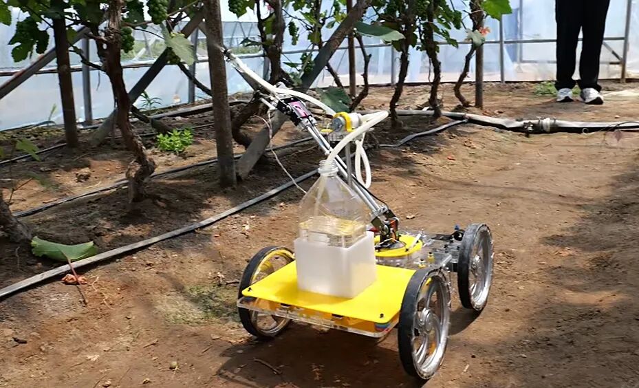 Summer Social Practice Activities of the Intelligent Robot Laboratory Team from the School of Automation Engineering (Part II)