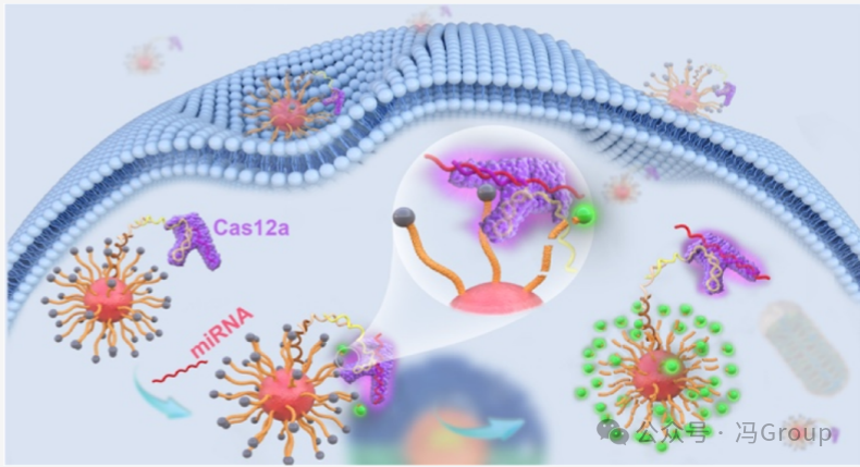 RNA-Activated CRISPR/Cas12a Nanorobots Operating in Live Cells