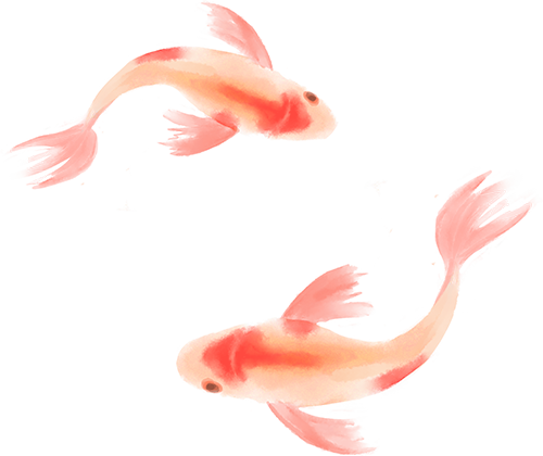 Summary of Practical Backup Strategies for Linux System Operations