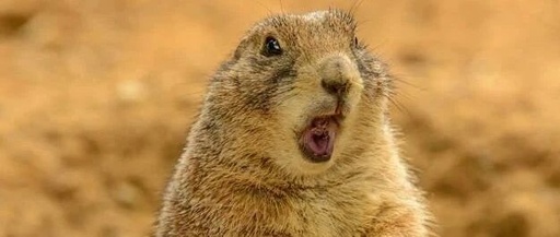 How Simple is the Happiness of an Embedded Engineer? Helping a Friend with a Click for a Cup of Milk Tea!