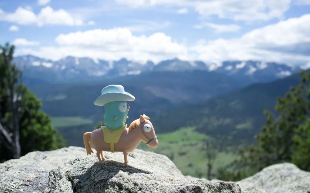 Go, Python, Rust: Which One Should We Learn?
