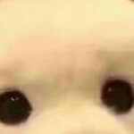 Should You Start with Embedded Linux or Focus on Microcontrollers?