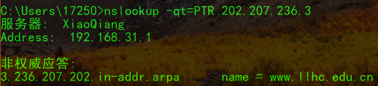 Practical Analysis: Setting Up a DNS Server in Linux