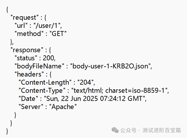 Detailed Setup and Practical Guide for the HTTP Mock Tool WireMock