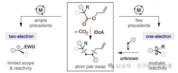 Photoinduced Decarboxylative Allylation: Dual Atom Substitution for sp3 Fragment Skeleton Editing