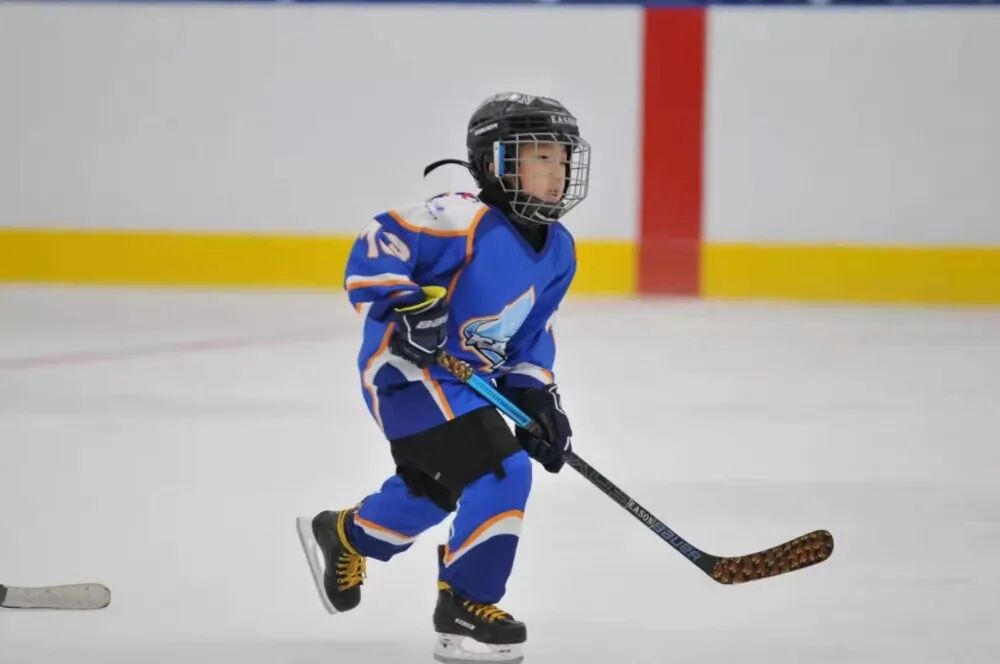 Chongqing's 15 Ice and Snow Venues Open Year-Round! Athletes and Referees from Chongqing Strive to Participate in the Beijing Winter Olympics!