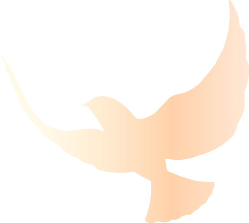 Summary of Practical Backup Strategies for Linux System Operations