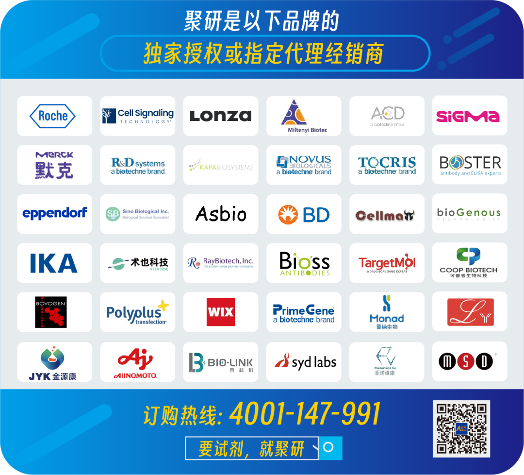 WIX-multiPRO4 Four-Slot Gel Prefabricated Gel Electrophoresis Tank #10111001