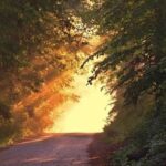 How to Study the Judgment and Reasoning Section?