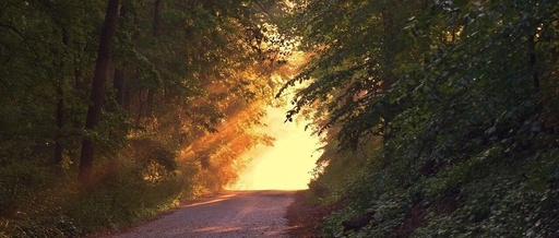 How to Study the Judgment and Reasoning Section?