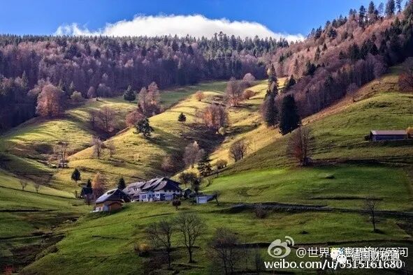 Overview of the Development of the German Chip Industry (Part 1)