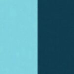 Linux C/C++: Processes and File Systems